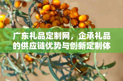 广东礼品定制网，企承礼品的供应链优势与创新定制体验