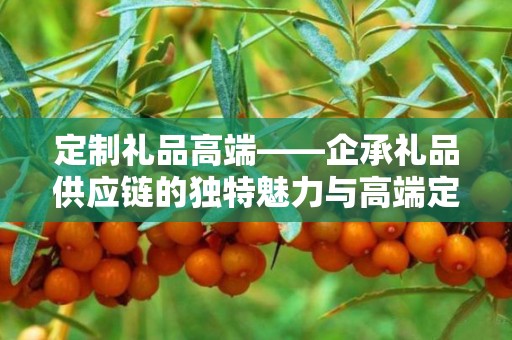 定制礼品高端——企承礼品供应链的独特魅力与高端定制体验